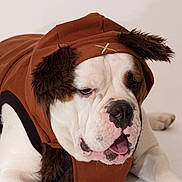 Major joined the competition — help win amazing prizes!