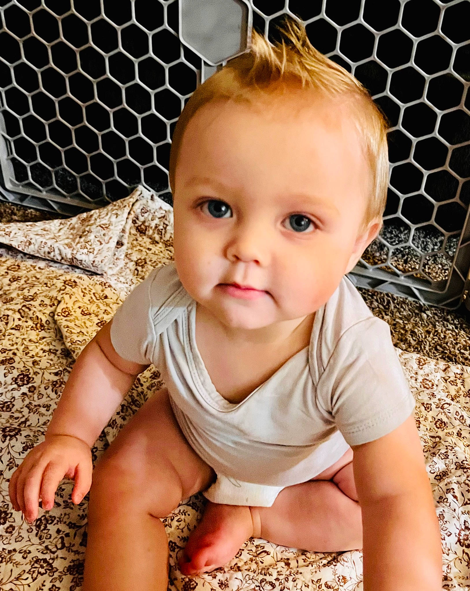 Jasper joined the competition — help win amazing prizes! baby, baby_toddler_clothing, cheek, child, chin, dress, eyebrow, eyelash, flooring, grass, happy, head, iris, mesh, neck, nose, person, skin, sleeve, smile