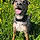 Bruce