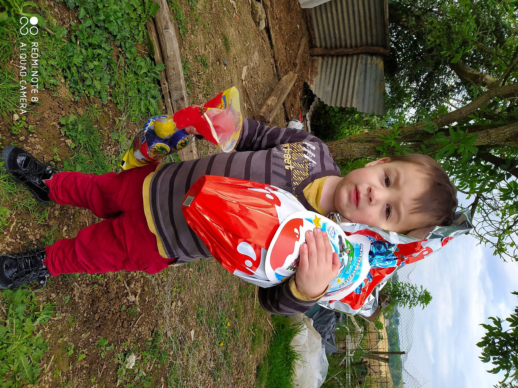 Jason participe au concours pour gagner de l'argent avec cette photo : child, person, plant, play, toddler, tree, vacation