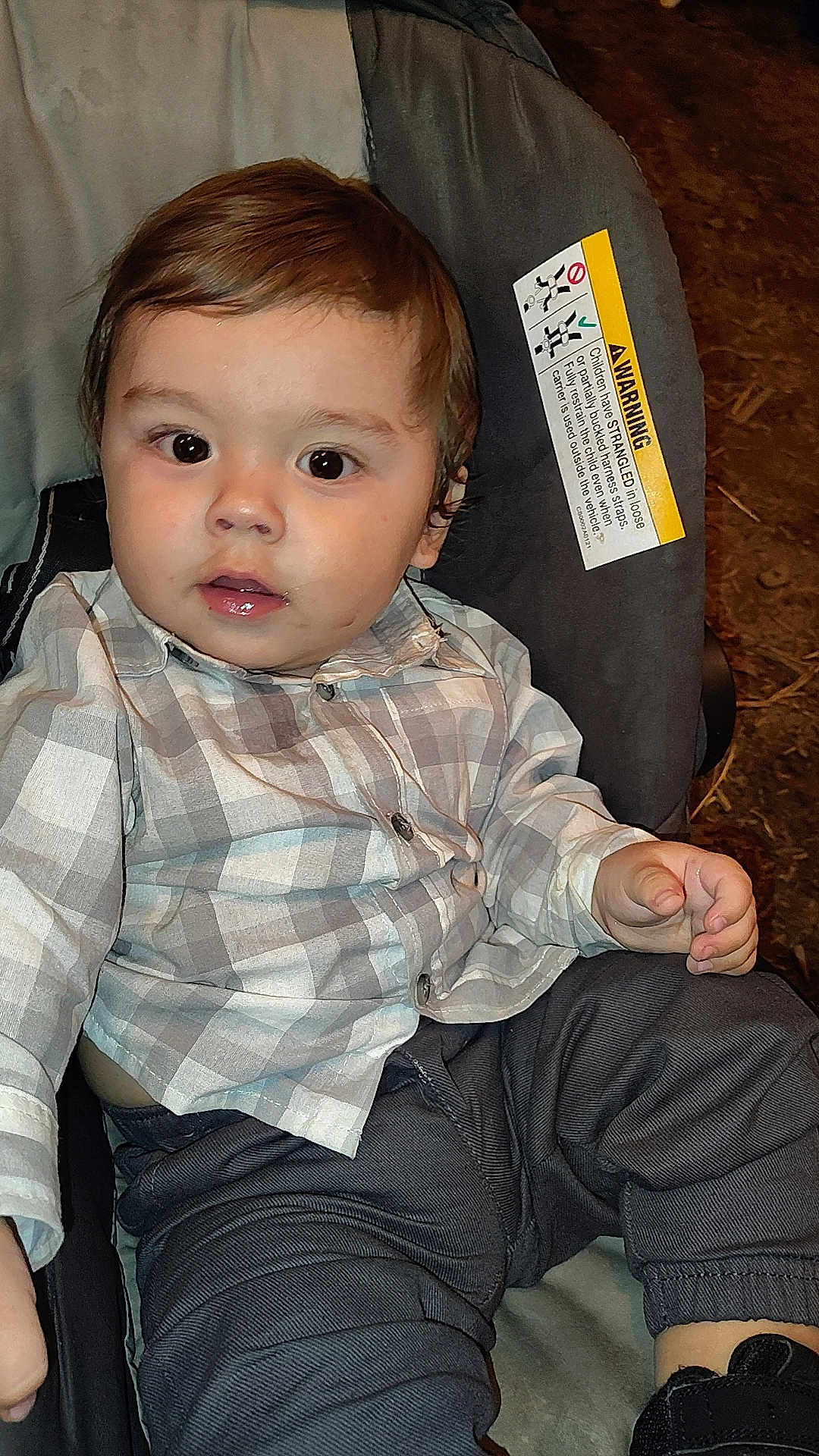 Ernesto joined the competition — help win amazing prizes! baby, child, closeup, clothing, curious, cushion, face, hand, indoor, pants, person, plaid_shirt, portrait, seated, shoe, skin, stroller, toddler, warning_label, young_child