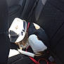 dog, beagle, hat, sleeping, napping, curled_up, backseat, car_interior, seat, red_leash, leash, sunlight, shadow, travel, pet, cozy, accessory, fur, head, resting
