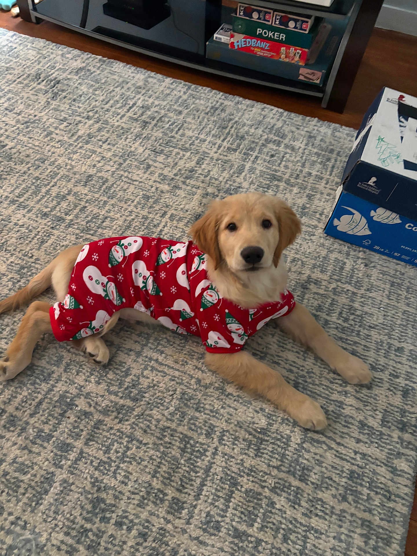 Ace joined the competition — help win amazing prizes! golden_retriever, puppy, dog, pajamas, red_clothing, snowman_pattern, carpet, rug, indoor, home, board_games, boxes, floor, pet, cute, lying_down, looking_at_camera, animal, cozy, living_room