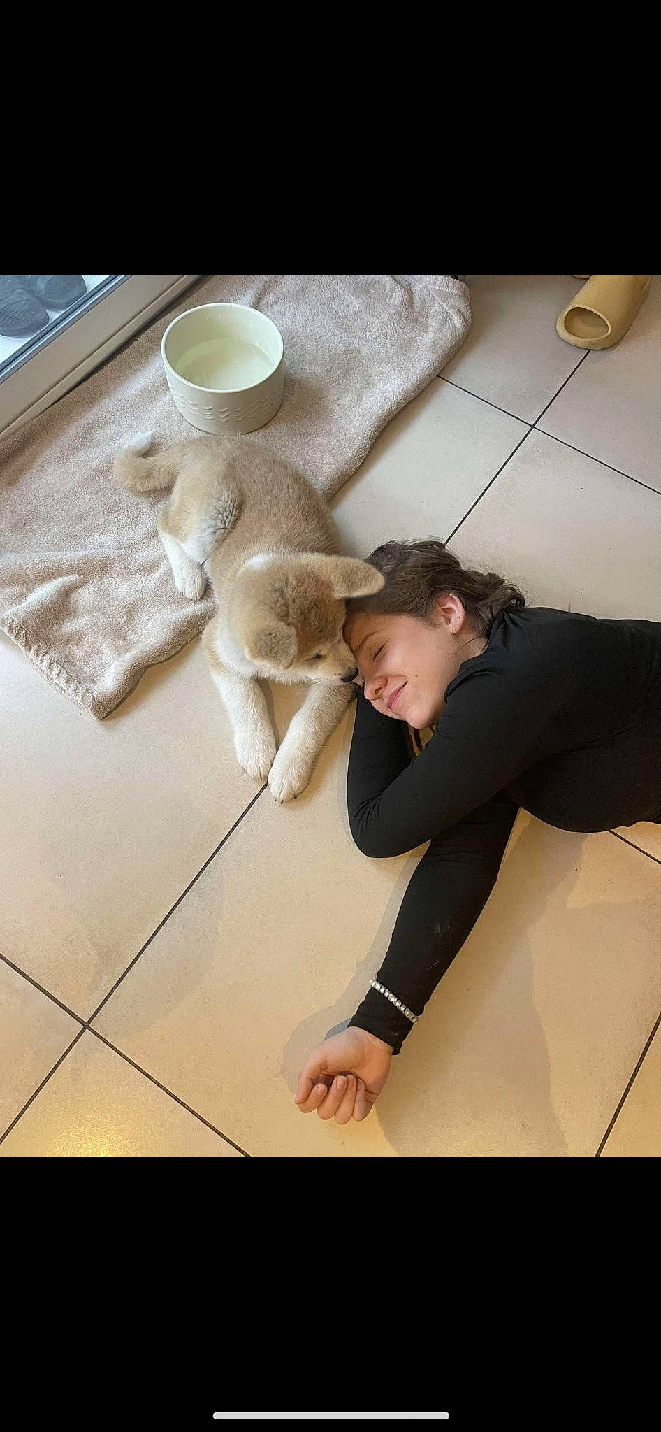 Hoshi participe au concours pour gagner de l'argent avec cette photo : companion_dog, dishware, fawn, felidae, flash_photography, floor, flooring, fur, hardwood, hat, human_leg, knee, laminate_flooring, serveware, small_to_medium_sized_cats, stairs, sun_hat, tableware, wood, wood_flooring