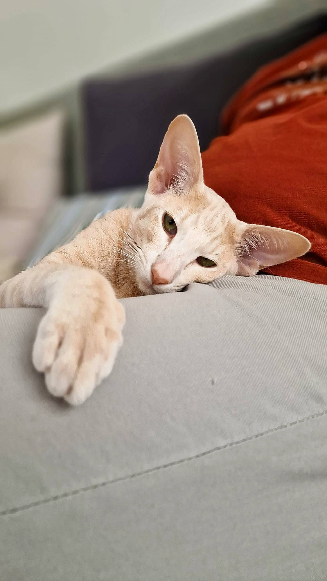 Edouard Hulan Du Vent