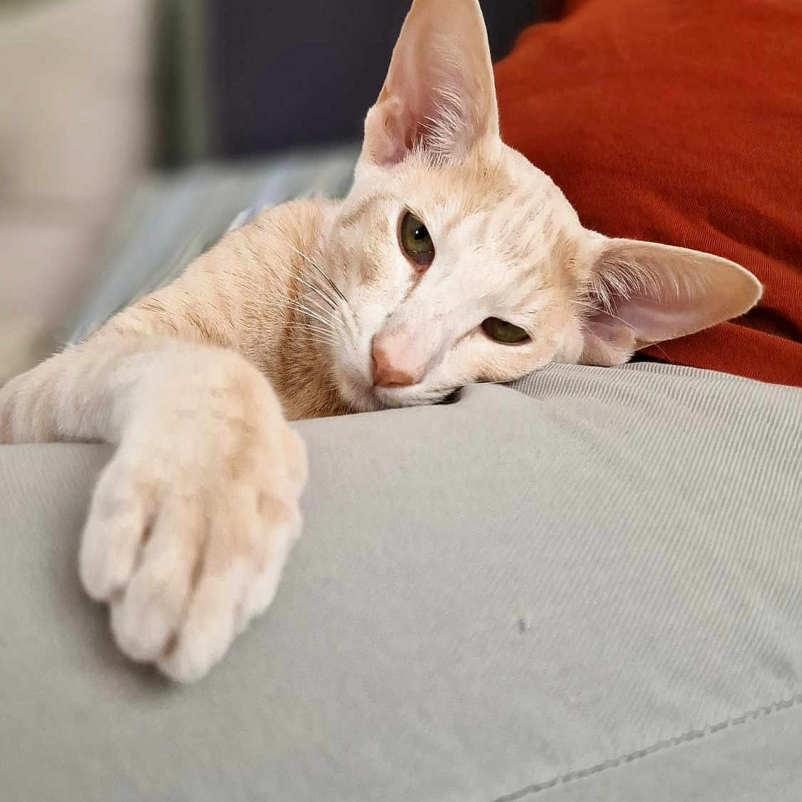 Edouard Hulan Du Vent