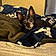 Rockie