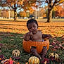 baby, pumpkin, autumn, fall_leaves, grass, outdoor, child, nature, seasonal, cute, decoration, orange, green, tree, park, baby_boy, sitting, leaf, holiday, festive
