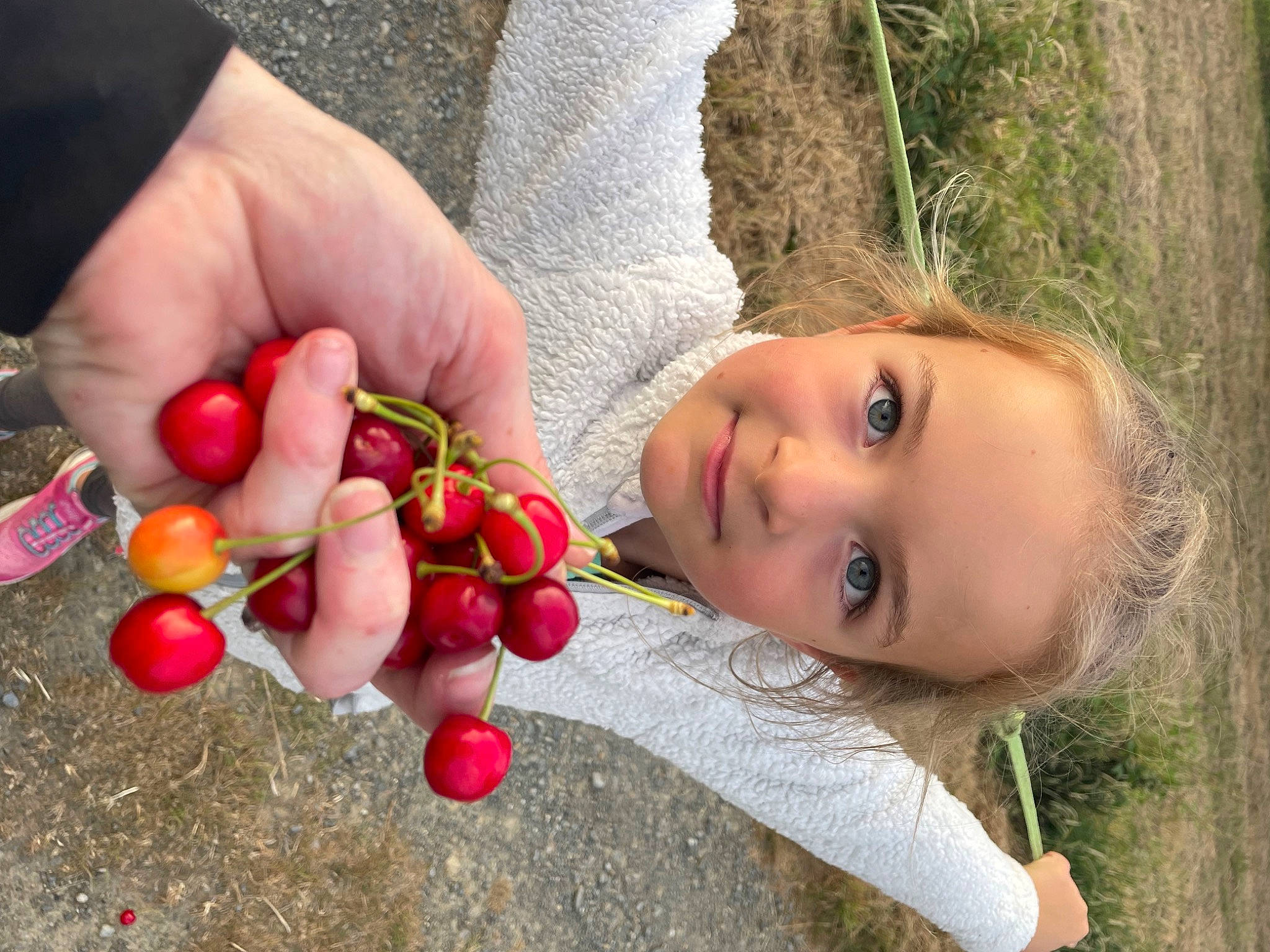 Liza a rejoint le concours — aidez-le/la à gagner de superbes lots ! berry, cherry, child, finger, flowering_plant, food, fruit, fun, grass, happy, joy, nail, natural_foods, people_in_nature, person, plant, soil, superfood, toddler, tree