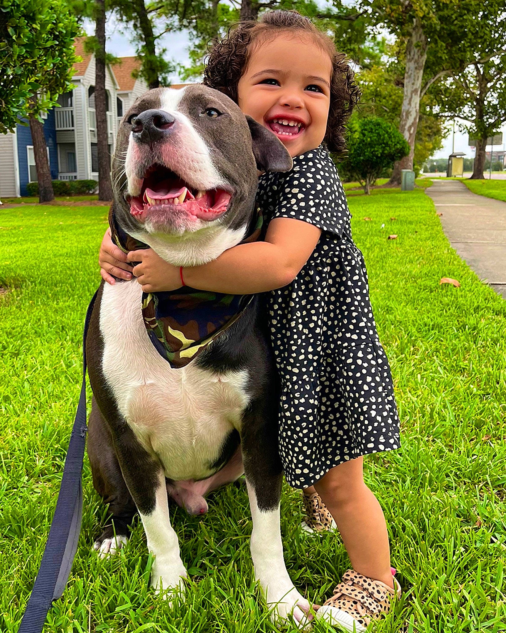 Ainhoa joined the competition — help win amazing prizes! canidae, carnivore, companion_dog, dog, dog_breed, fawn, fun, grass, green, happy, joy, leash, leisure, person, plant, recreation, smile, snout, sporting_group, toddler