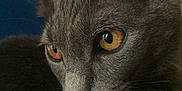 Tagada participe au concours pour gagner de l'argent avec cette photo :