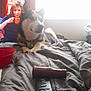 Rocky is registered to the contest to win money with this photo: dog, husky, bed, blanket, remote_control, flashlight, woman, cup, window, indoor, relaxing, pet, fur, collar, light, curtains, furniture, casual, home, comfort
