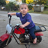 Louis joined the competition — help win amazing prizes! toddler, child, motorbike, barefoot, purple_shirt, outdoor, driveway, concrete, toy, handlebars, expression, backyard, trash_bin, fence, grass, trees, daylight, curious, small_vehicle, casual_clothing