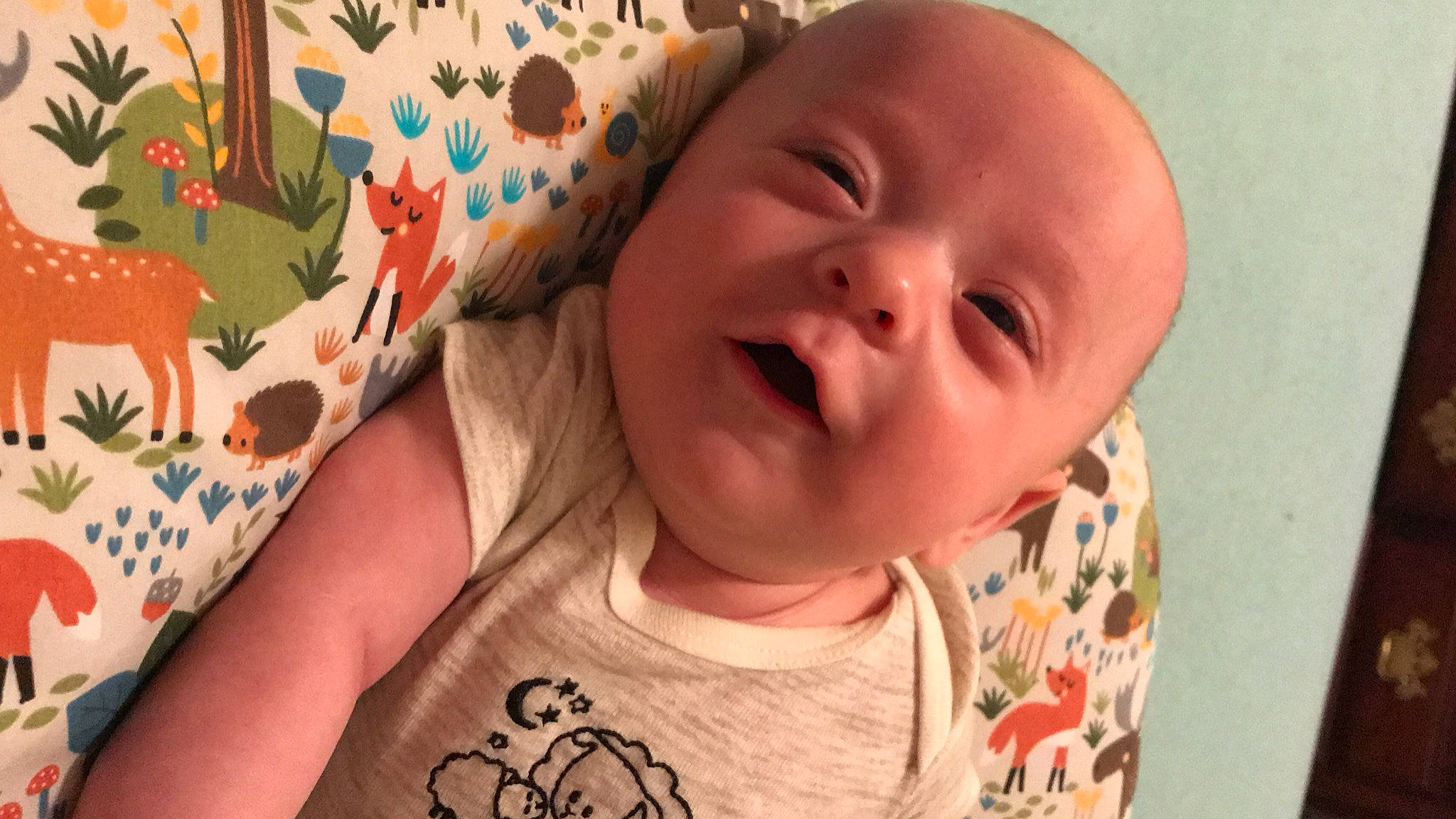 Franklin is registered to the contest to win money with this photo: baby_toddler_clothing, cheek, ear, eye, eyebrow, finger, forehead, happy, head, human_body, iris, jaw, lip, mouth, neck, nose, person, pink, skin, sleeve