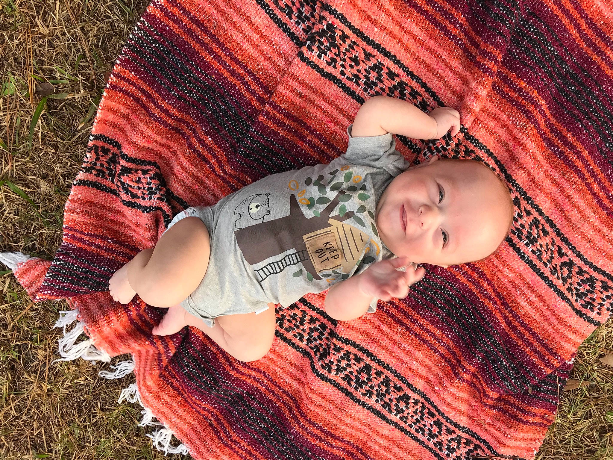 Franklin joined the competition — help win amazing prizes! arm, baby, baby_toddler_clothing, child, fashion_accessory, finger, flash_photography, grass, hand, happy, human_body, human_leg, leaf, pattern, people_in_nature, person, skin, thigh, tints_and_shades, toddler