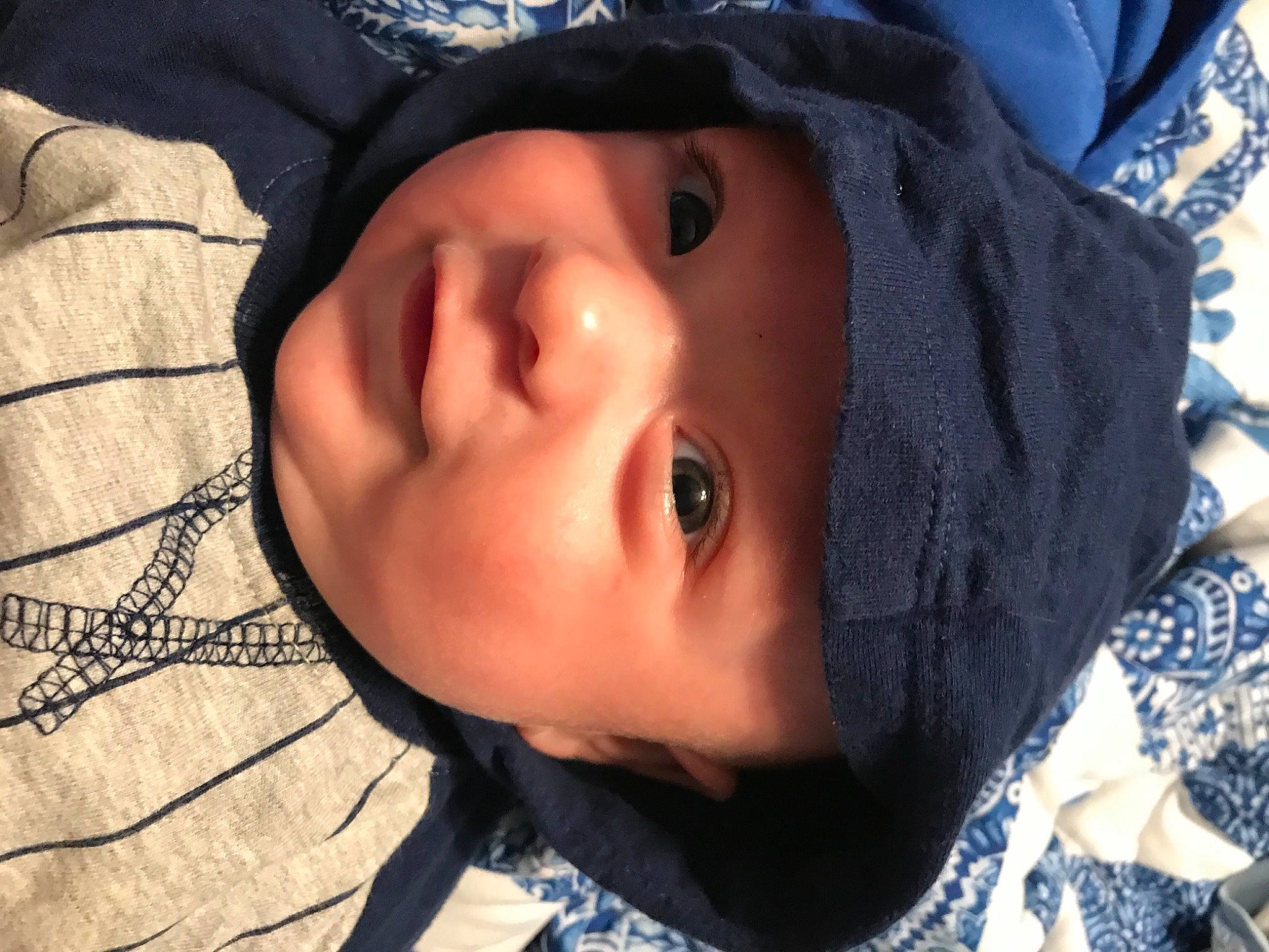 Franklin is registered to the contest to win money with this photo: baby, blue, cheek, close_up, cool, eyebrow, eyelash, grass, head, headgear, headwear, iris, lip, mouth, nose, person, plant, skin, snow, toddler