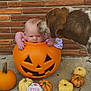 Nevaeh joined the competition — help win amazing prizes! baby, dog, pumpkin, jack_o_lantern, milestone, five_months, brick_wall, outdoor, pet, cute, fall, autumn, orange, small_pumpkins, concrete, infant, animal, sniffing, costume, holiday