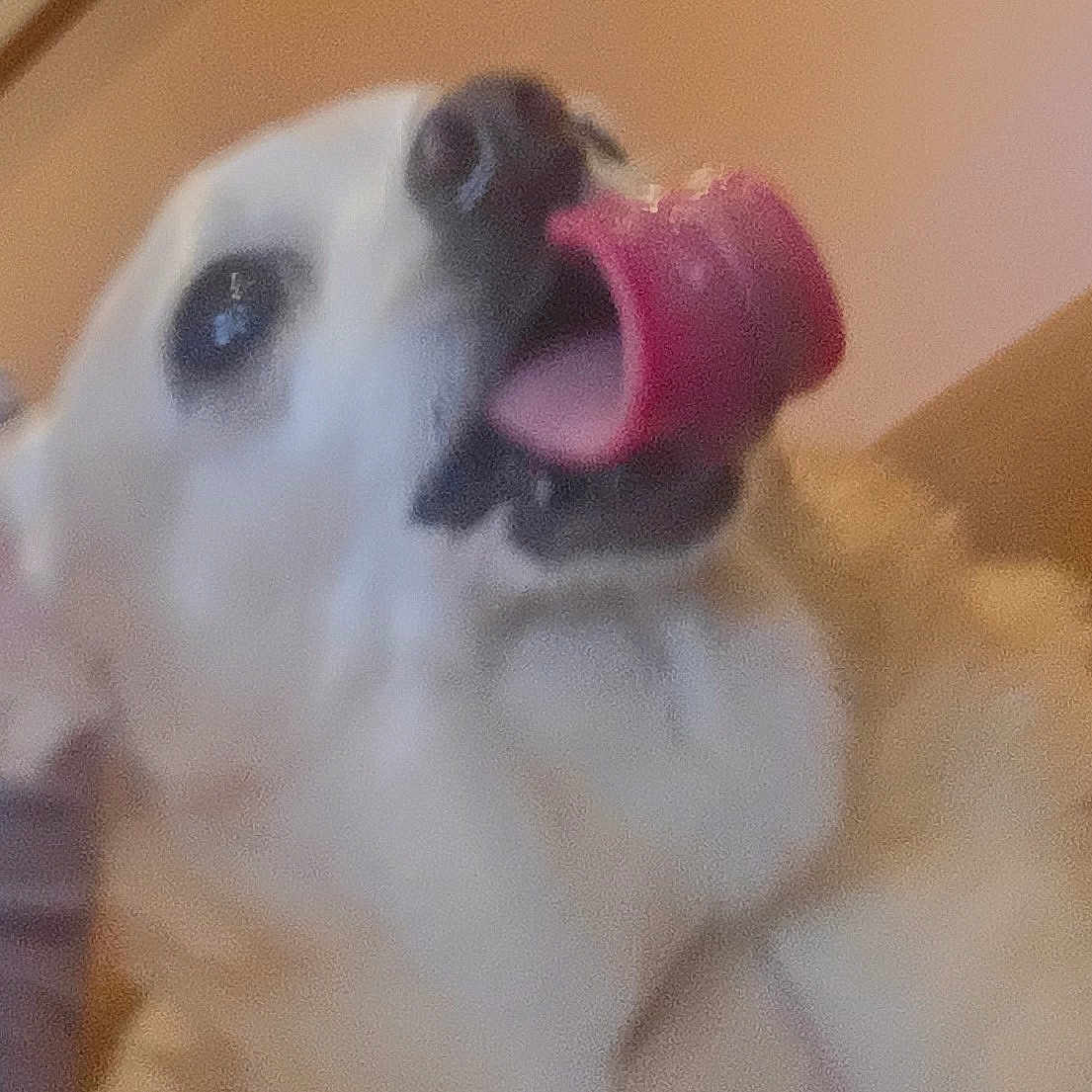Emmy