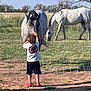 Jacoby joined the competition — help win amazing prizes! child, horse, fence, field, grass, tree, curly_hair, tshirt, shorts, red_shoes, animal, petting, outdoor, sunny, rural, nature, livestock, boy, animal_interaction, summer