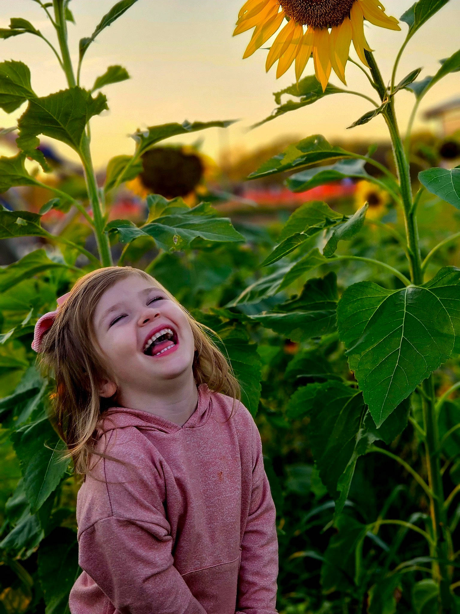 Guinevere joined the competition — help win amazing prizes! botany, field, flower, flowering_plant, fun, grass, green, happy, joy, leaf, light, nature, people_in_nature, person, petal, plant, sky, smile, summer, sunlight