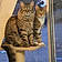 Unity And Lucky