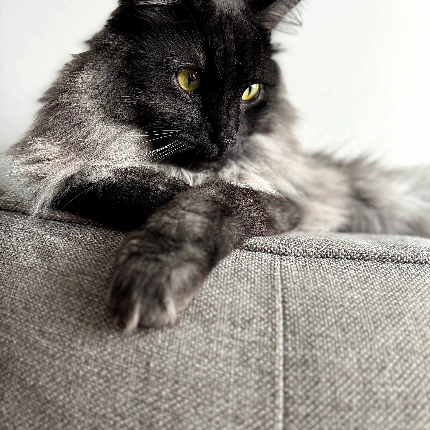 Astro