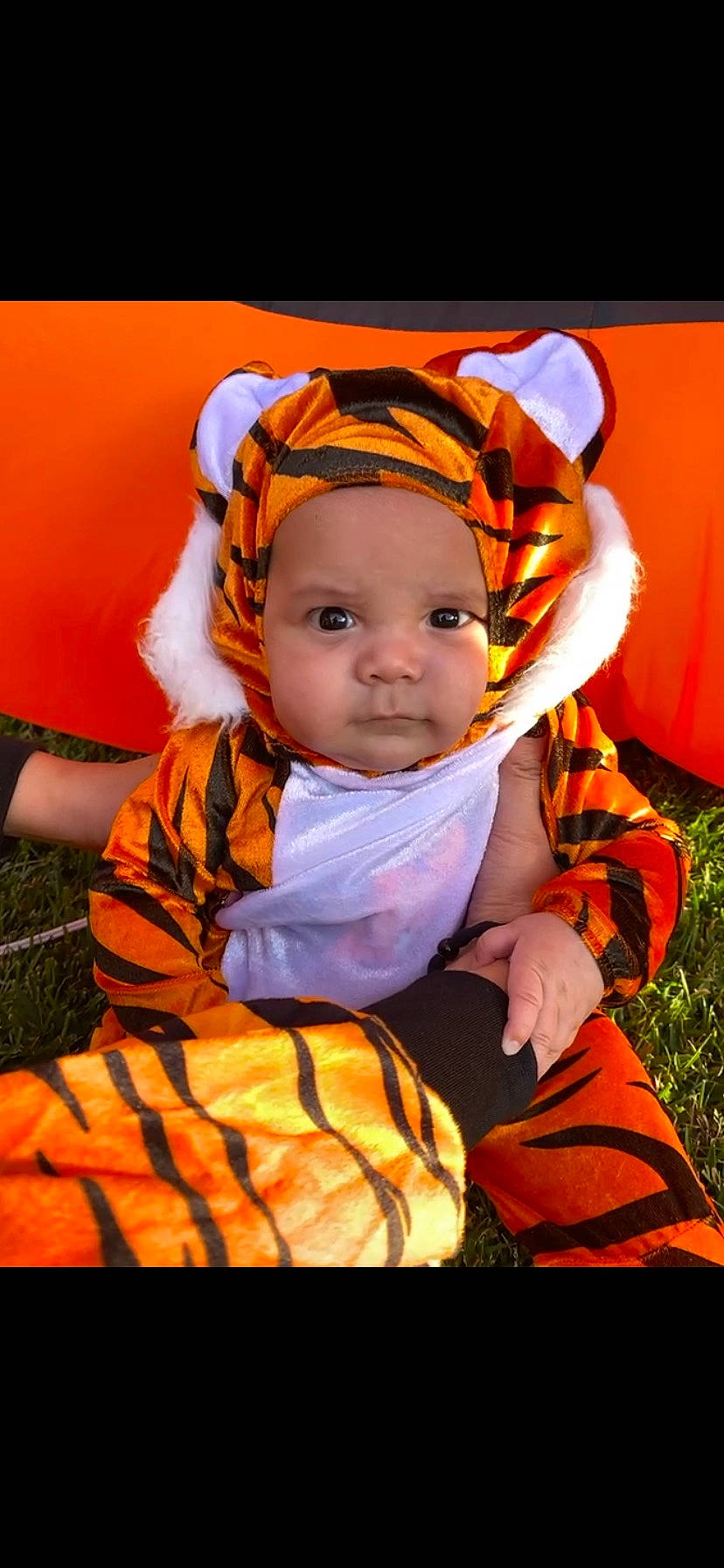 Mathias is registered to the contest to win money with this photo: baby, baby_products, baby_toddler_clothing, cheek, child, comfort, costume, costume_hat, fashion_accessory, flash_photography, fun, grass, happy, headband, orange, person, portrait_photography, sitting, toddler, tradition