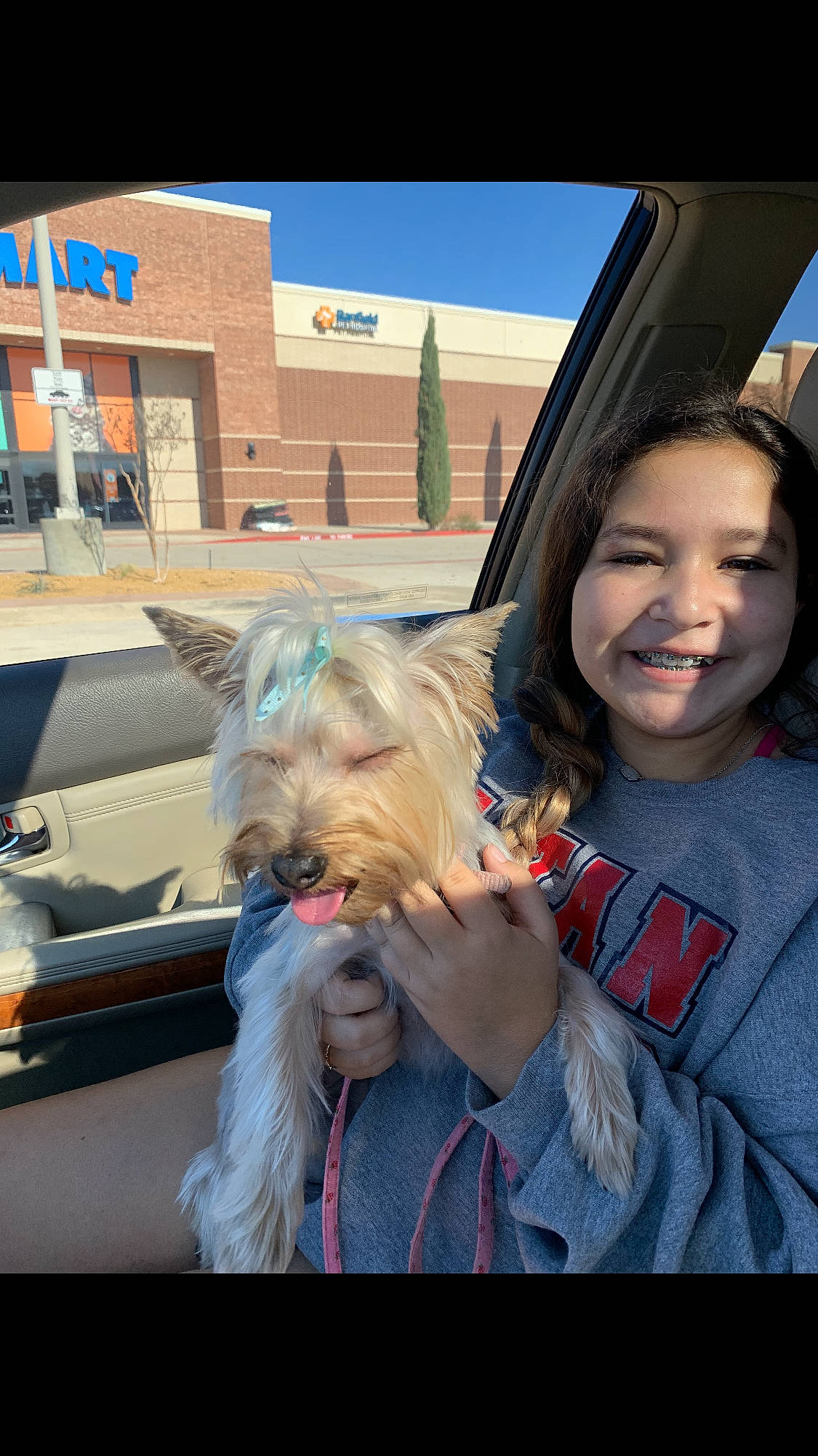 Chloe joined the competition — help win amazing prizes! cairn_terrier, canidae, carnivore, companion_dog, dog, dog_breed, ear, interaction, long_hair, morkie, photography, small_terrier, smile, terrier, toy_dog, west_highland_white_terrier, yorkshire_terrier