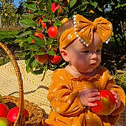 Rain is registered to the contest to win money with this photo: baby, child, apple, orchard, basket, blanket, headband, dress, outdoor, fruit, nature, greenery, sunlight, cute, sitting, toddler, seasonal, harvest, plant, leaf