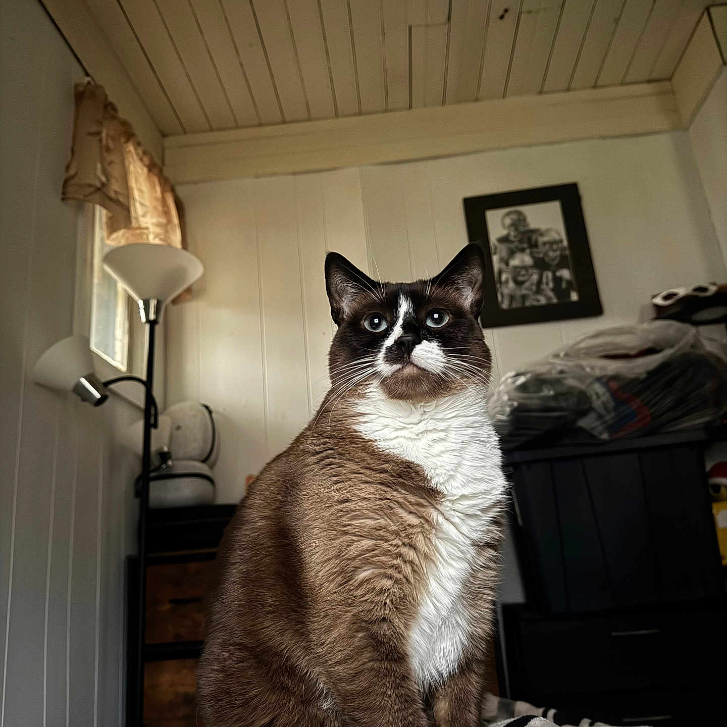 Denali