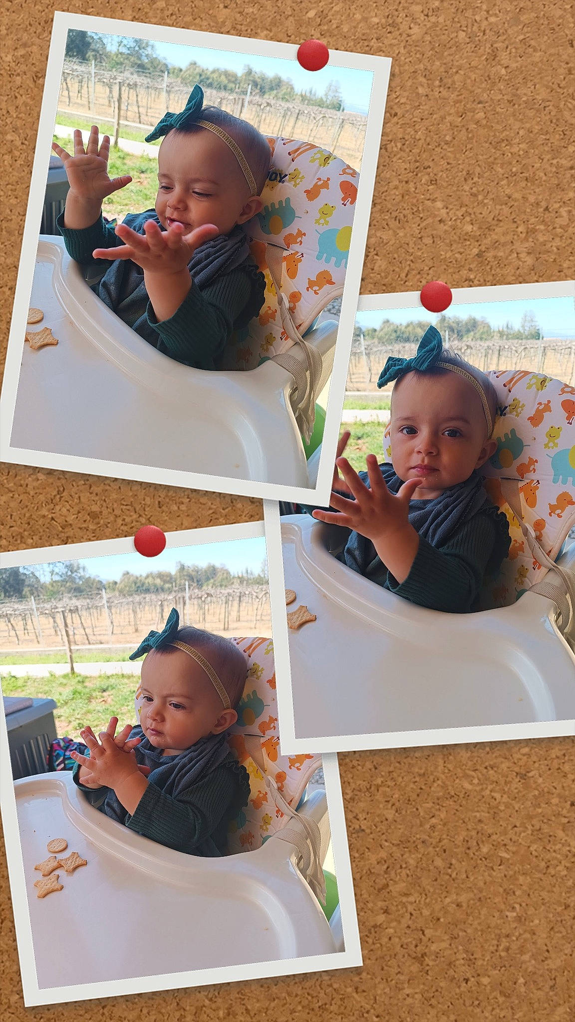 Elya participe au concours pour gagner de l'argent avec cette photo : art, baby_toddler_clothing, beauty, child, collage, facial_expression, green, hairstyle, happy, head, leisure, people, person, photograph, plant, sleeve, snapshot, summer, t_shirt, toddler