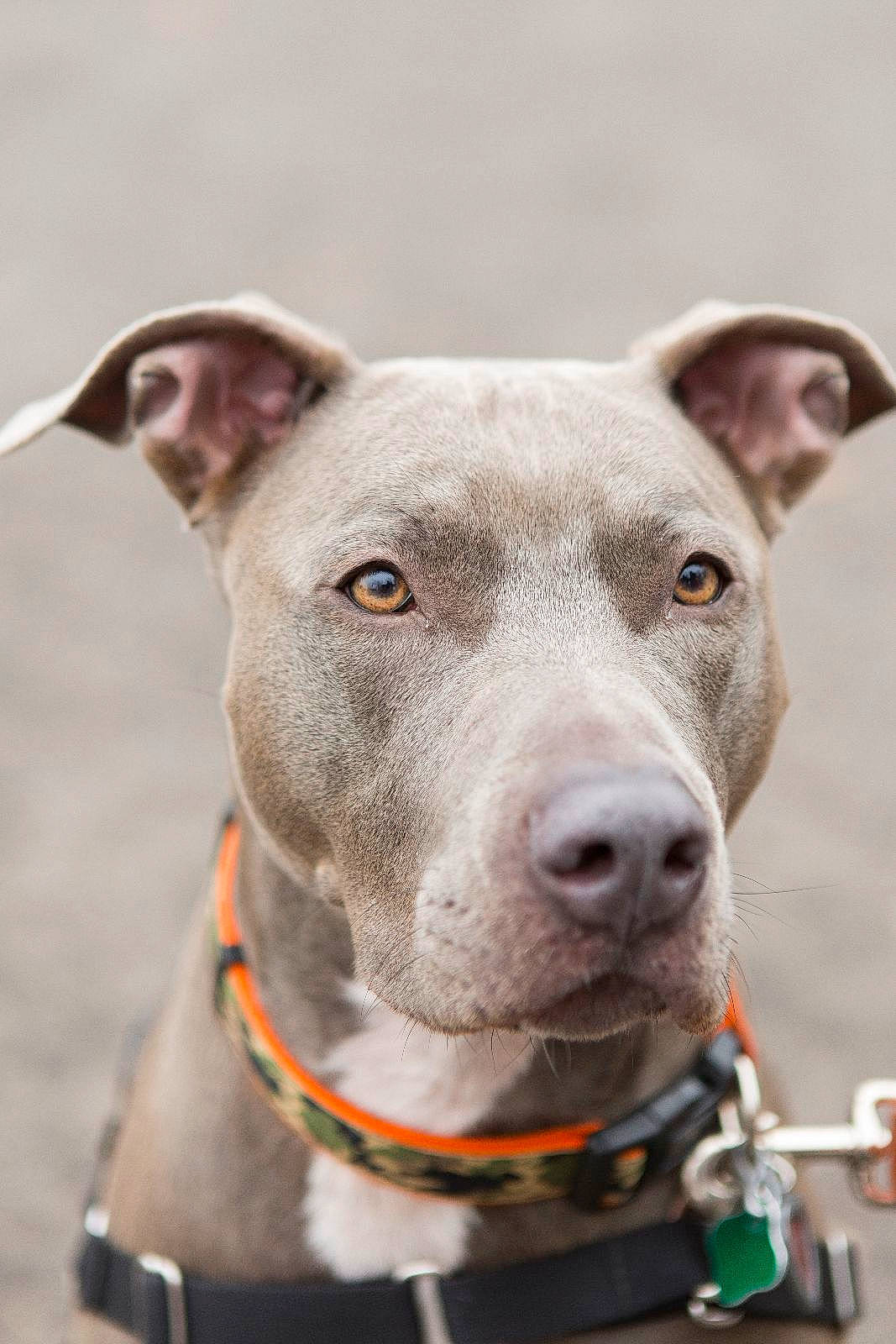 Fiona is registered to the contest to win money with this photo: