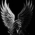Mi Ange Mi Demond