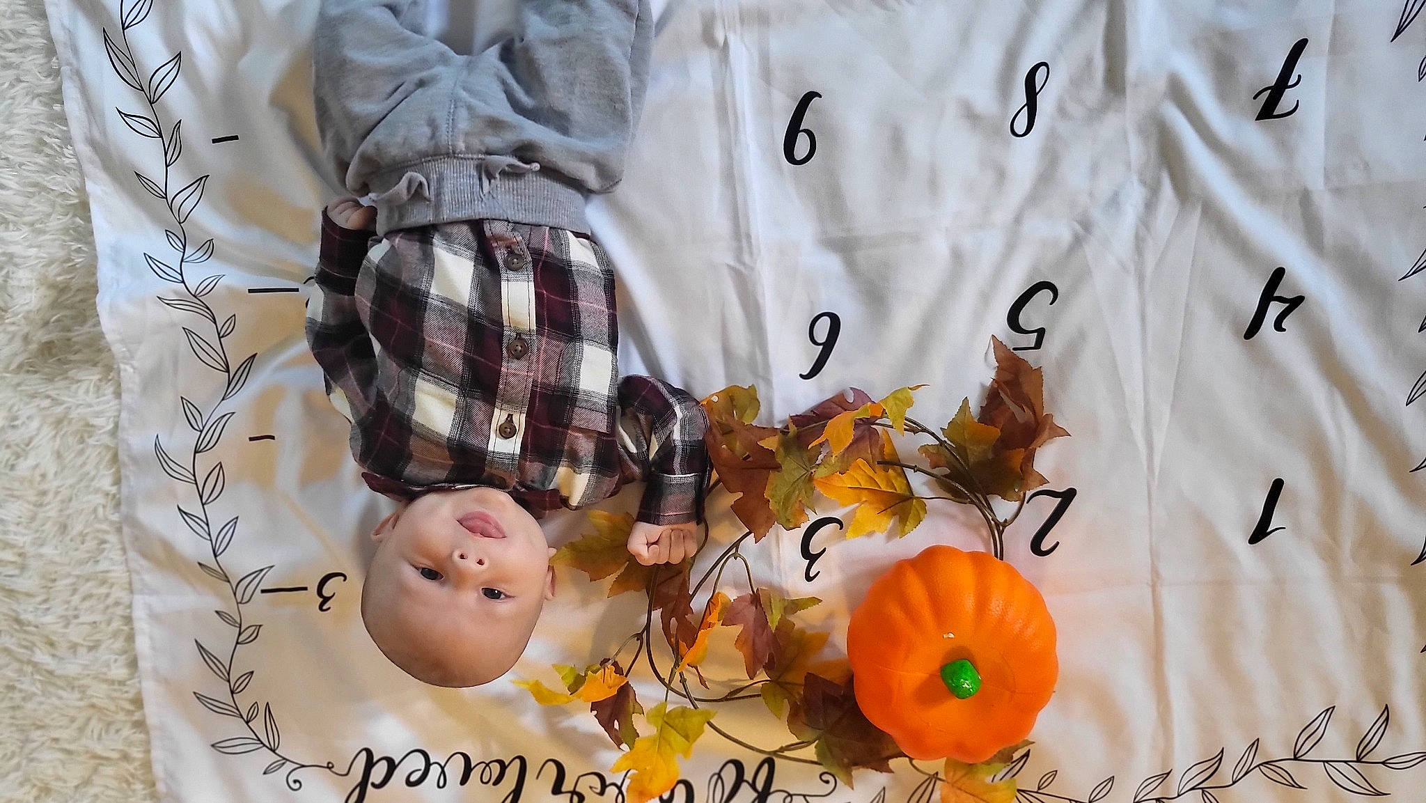 Brylon joined the competition — help win amazing prizes! baby, baby_toddler_clothing, child, dress_shirt, fashion_accessory, font, happy, jersey, jewellery, linens, orange, pattern, peach, person, recipe, sleeve, sportswear, t_shirt, textile, toddler