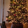 christmas_tree, cat, tabby_cat, ornaments, lights, ribbon, wooden_floor, basket, indoor, holiday, decorations, festive, furniture, warm_lighting, curious_cat, pet, home_decor, tree_skirt, cozy, seasonal