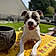 Tyson