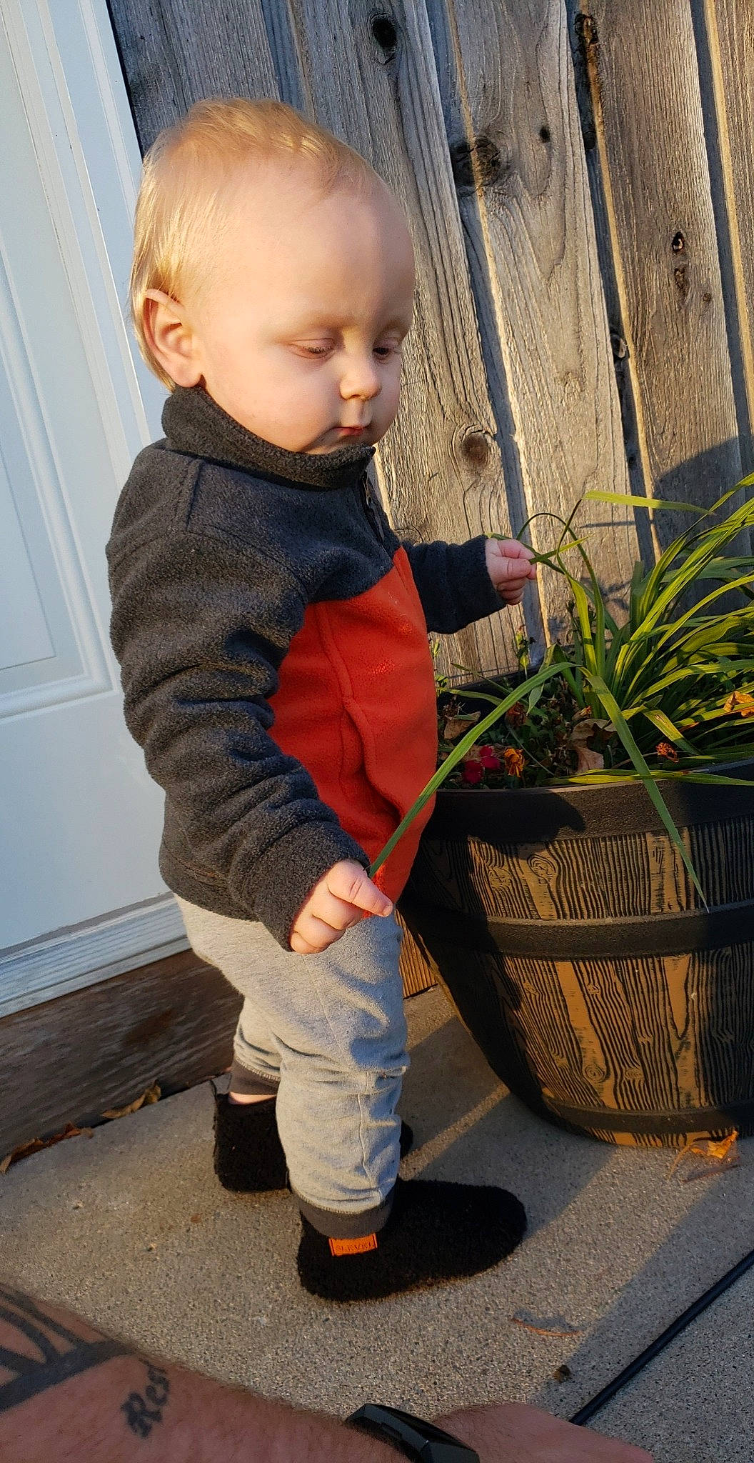 Paul is registered to the contest to win money with this photo: baby, baby_toddler_clothing, child, face, flooring, flowerpot, grass, head, houseplant, human_leg, jacket, leg, outerwear, pattern, person, plant, shoe, sleeve, sneakers, toddler