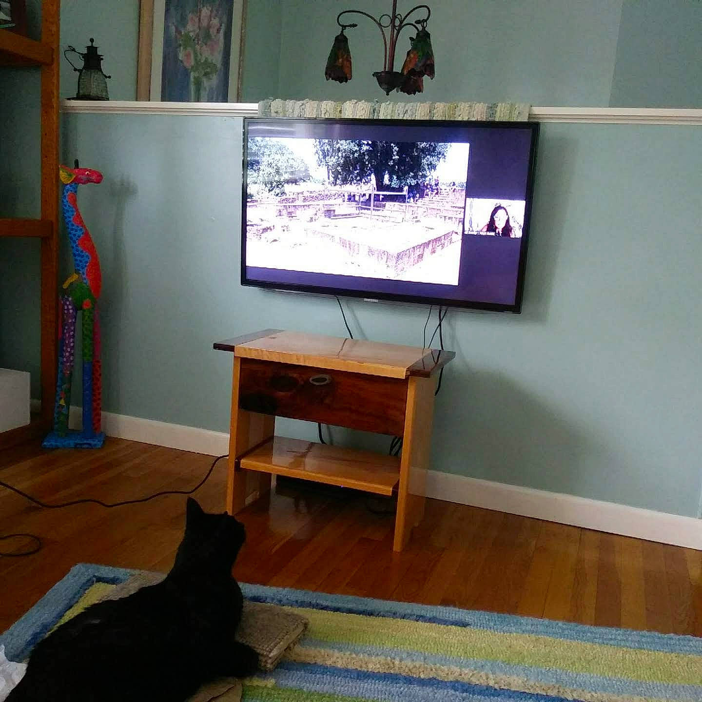 Buster is registered to the contest to win money with this photo: carnivore, cat, comfort, computer_monitor_accessory, display_device, electronic_device, felidae, flat_panel_display, floor, flooring, hardwood, interior_design, living_room, output_device, property, shelving, table, television_set, wall, wood