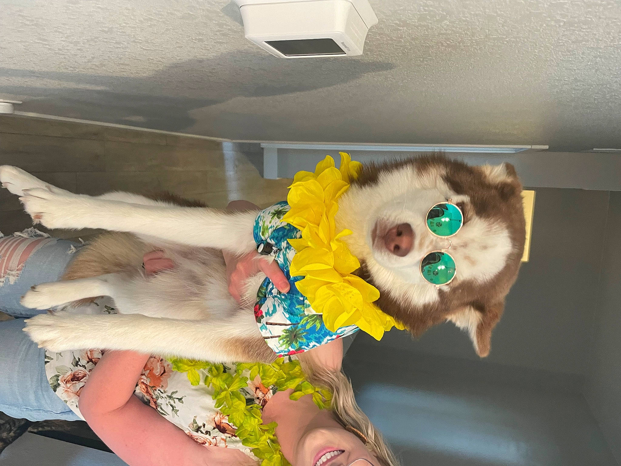 Mikko joined the competition — help win amazing prizes! animation, costume, fawn, fictional_character, fun, fur, human_leg, personal_protective_equipment, plush, room, stuffed_toy, toy, whiskers