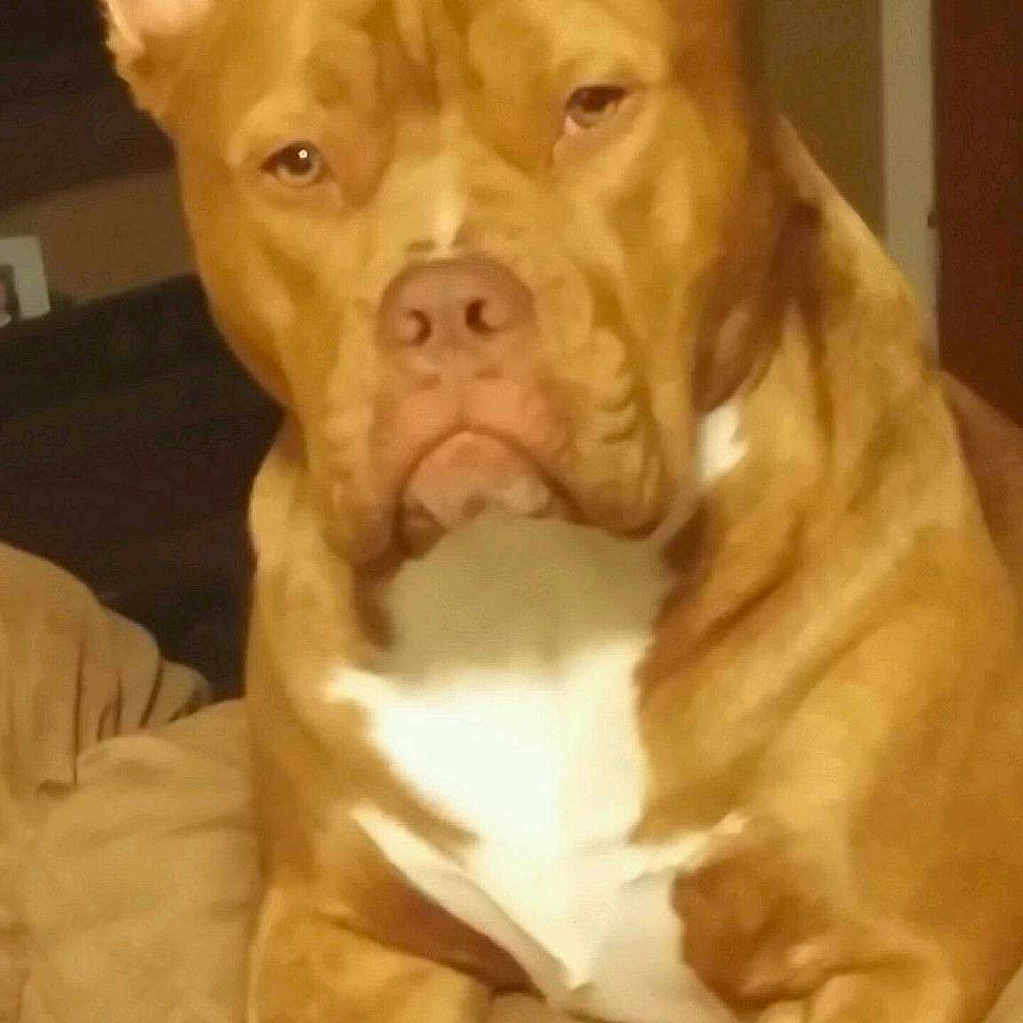 Bella is registered to the contest to win money with this photo: