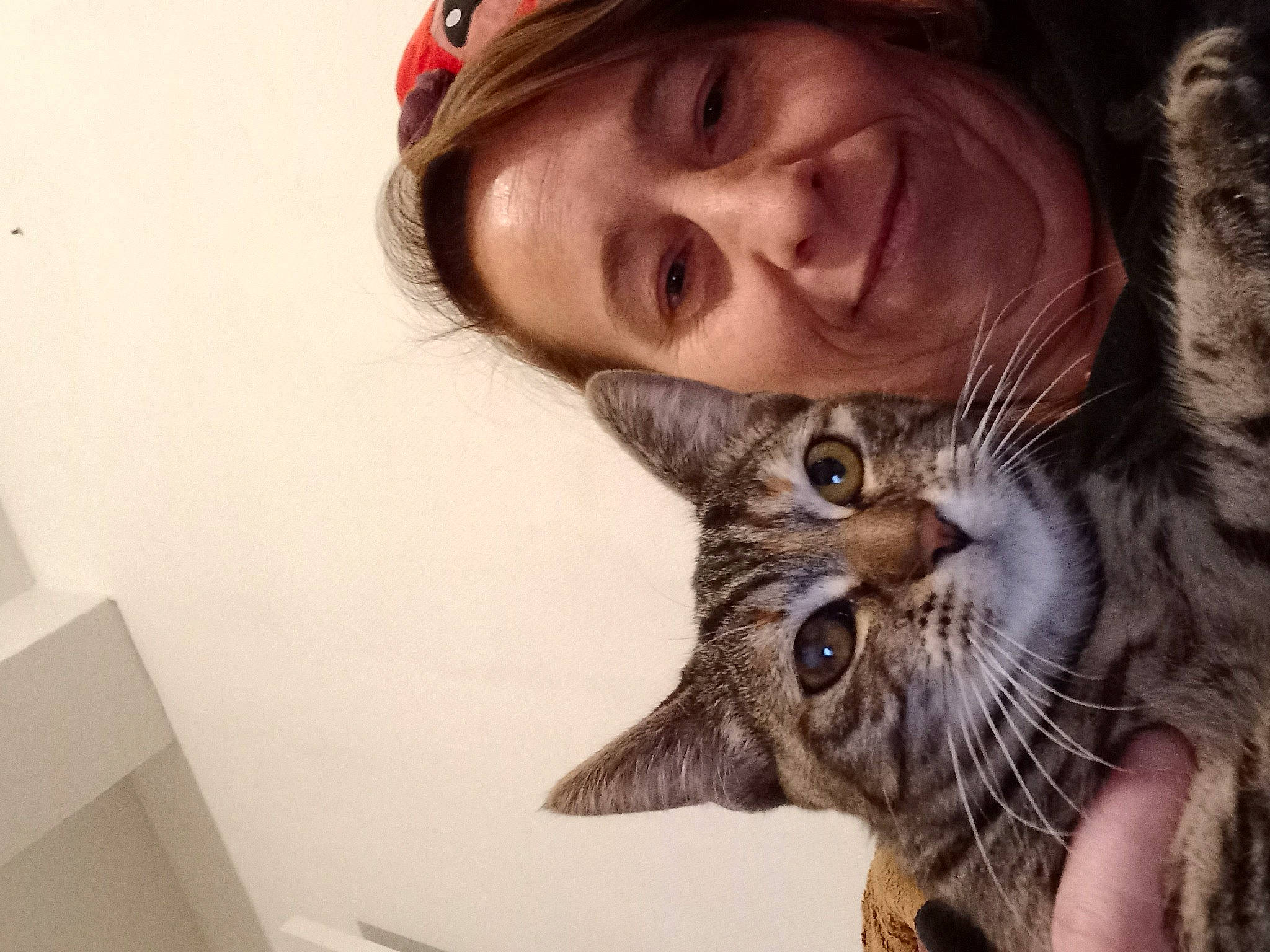 Lilo participe au concours pour gagner de l'argent avec cette photo : beard, brown_hair, cap, carnivore, cat, domestic_short_haired_cat, ear, eye, eyelash, eyewear, fawn, felidae, fur, gesture, nose, organ, skin, small_to_medium_sized_cats, snout, whiskers