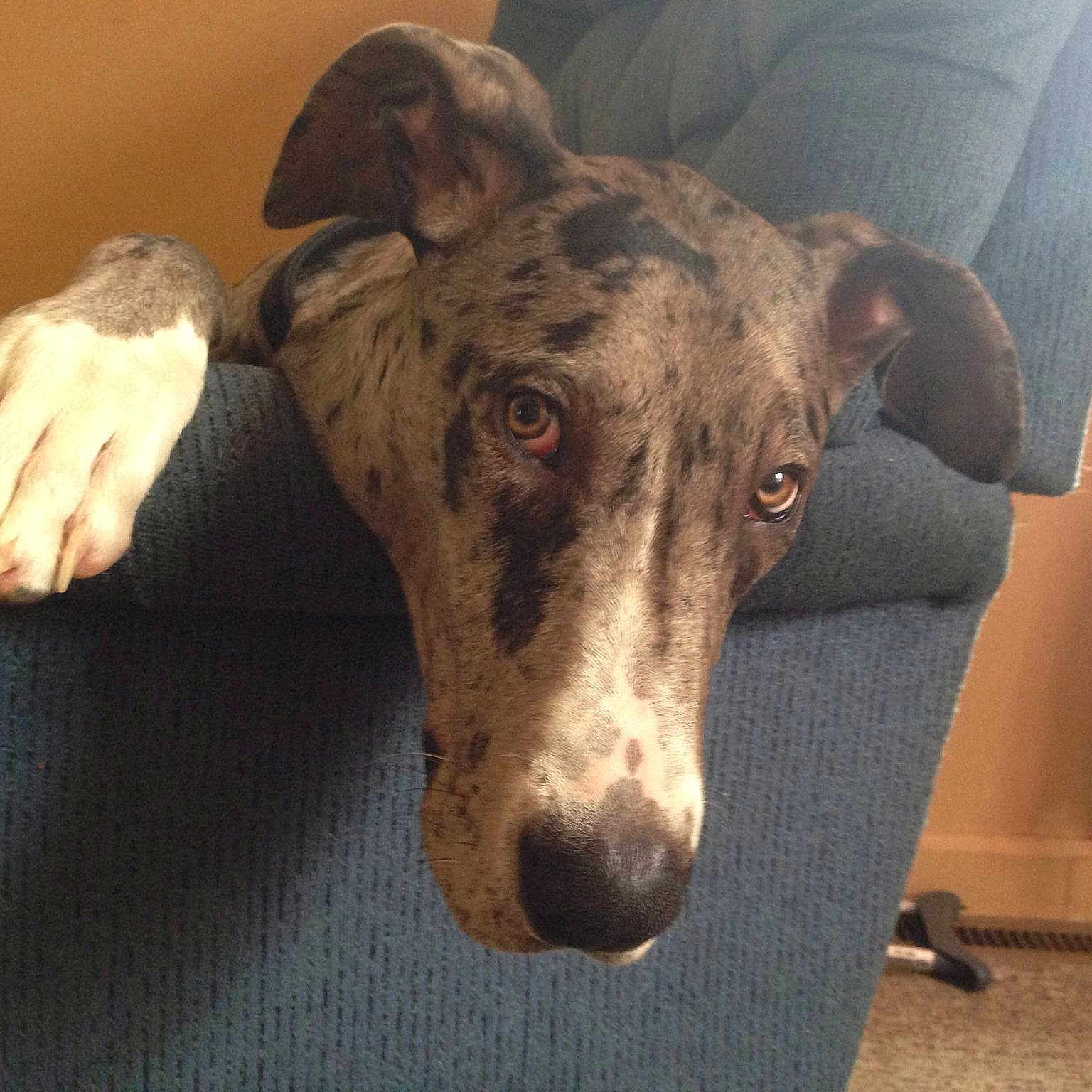 Hank is registered to the contest to win money with this photo: