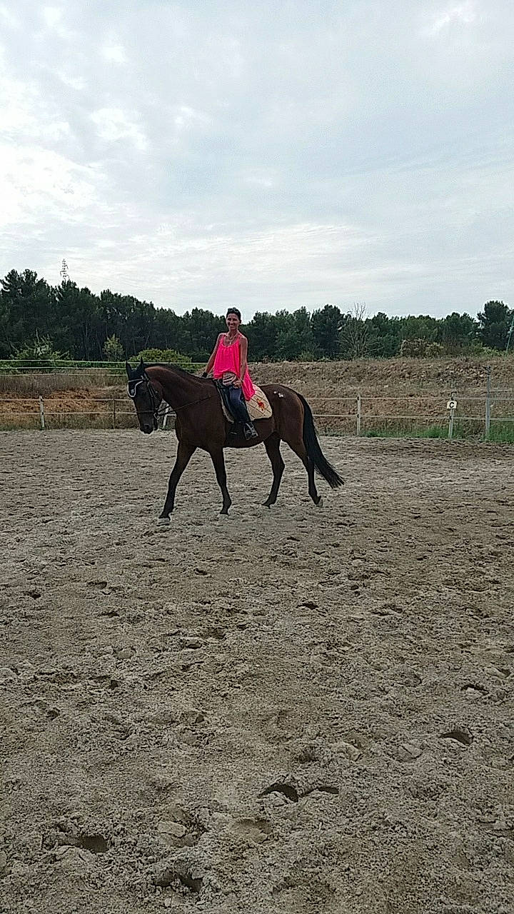 Satelite participe au concours pour gagner de l'argent avec cette photo : animal_sports, bridle, competitive_trail_riding, equestrian_sport, equestrianism, equitation, halter, horse, horse_tack, jockey, mammal, mare, outdoor_recreation, pack_animal, ranch, recreation, rein, saddle, stallion, trail_riding