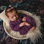 newborn, baby, sleeping, purple_outfit, headband, flower, bowl, fluffy, blanket, cozy, infant, portrait, cute, hands, feet, resting, soft, fabric, dark_background, indoors