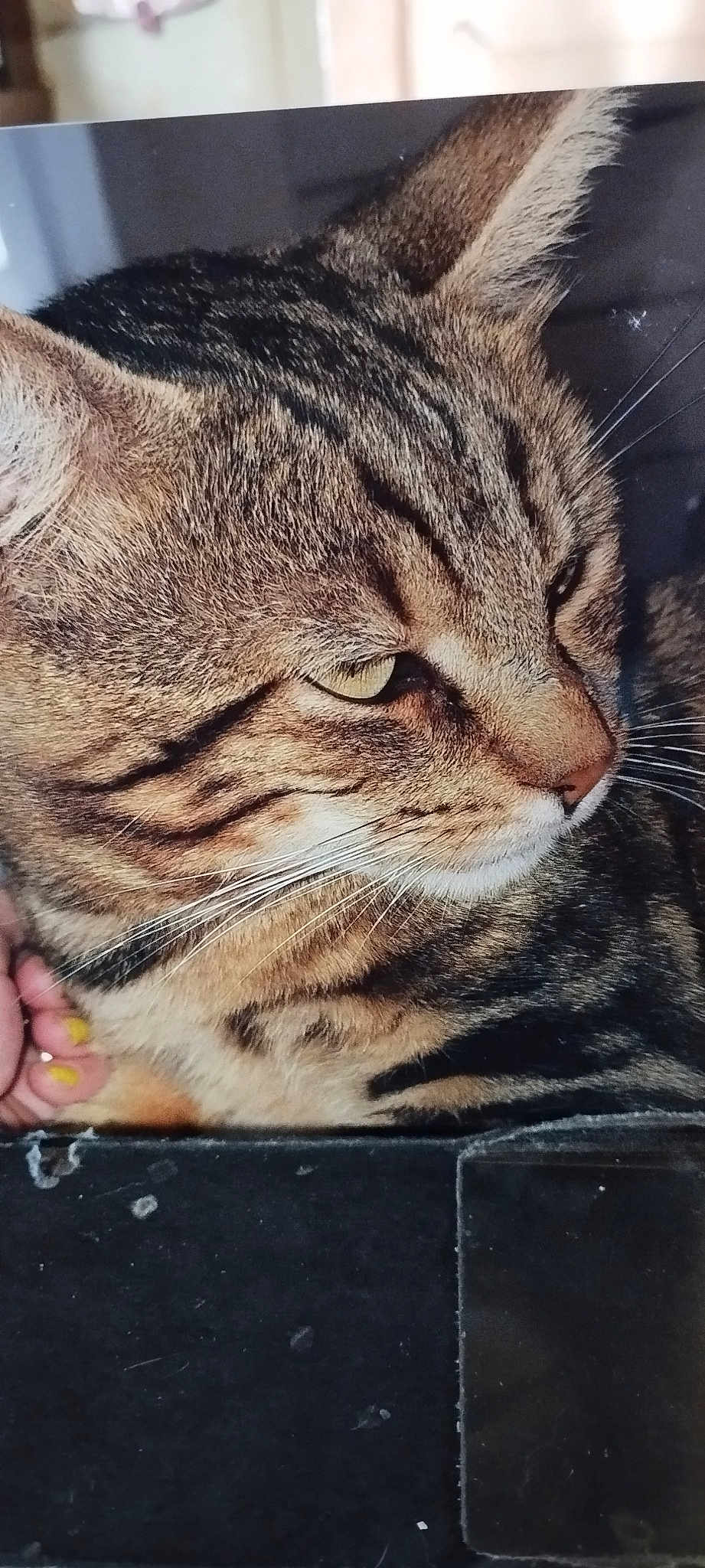 Kikitou