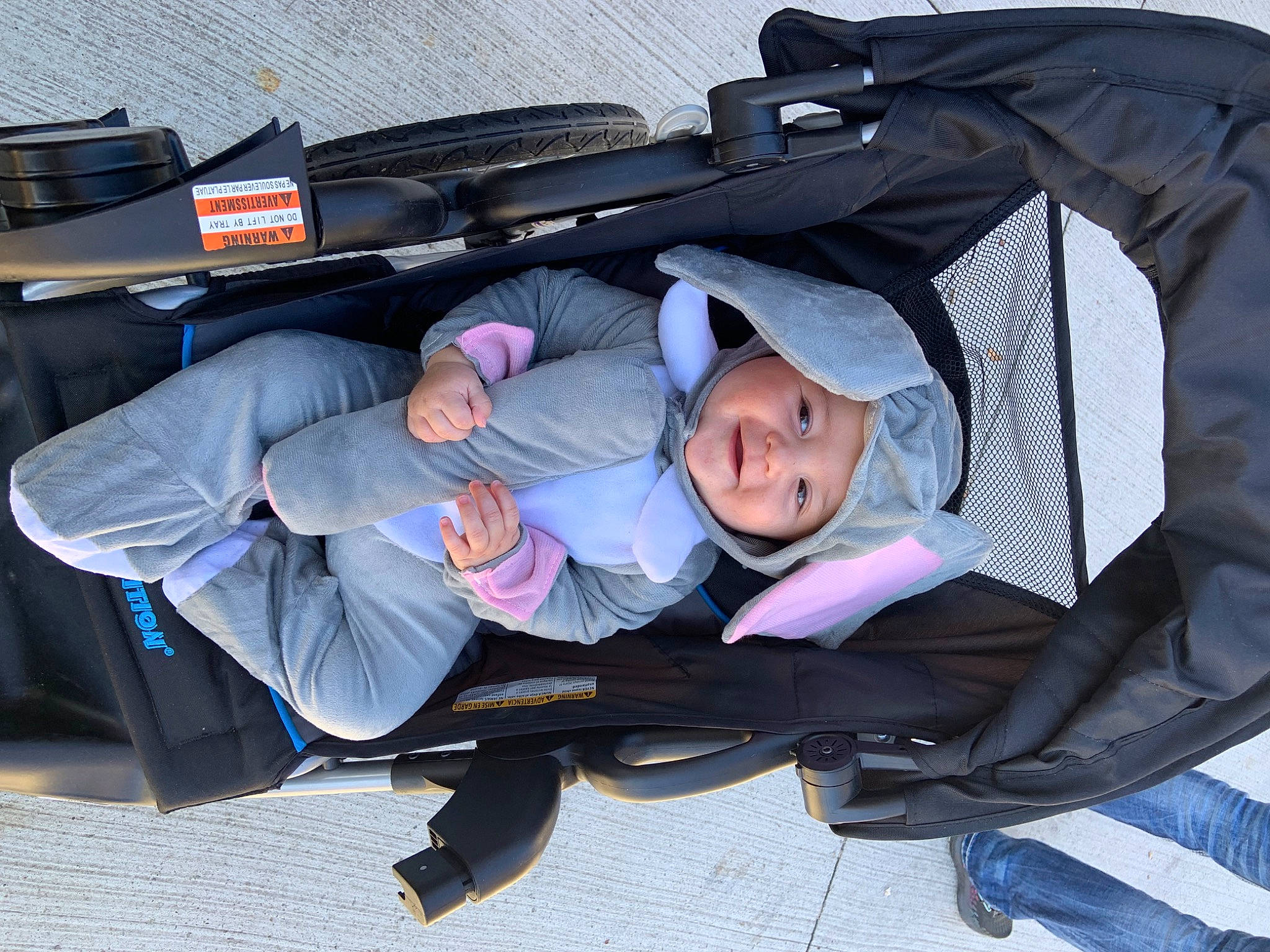 Lennox is registered to the contest to win money with this photo: auto_part, automotive_exterior, baby, baby_carriage, baby_products, baby_toddler_clothing, child, comfort, family_car, headwear, lap, luxury_vehicle, person, recreation, shoe, smile, toddler, tree, vehicle_door