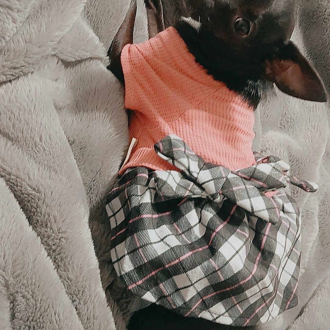 Vivi