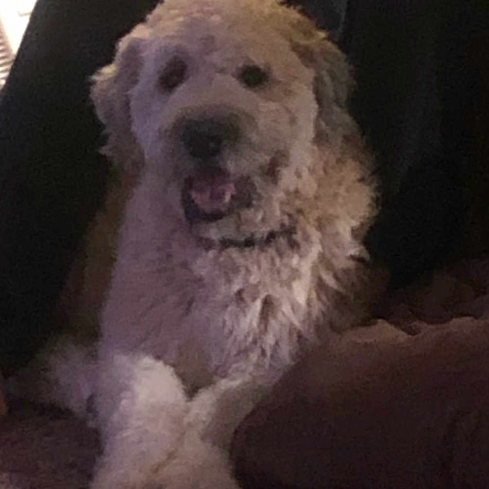 Barclay