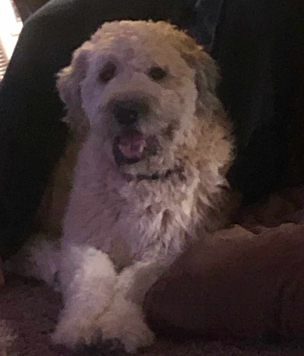 Barclay