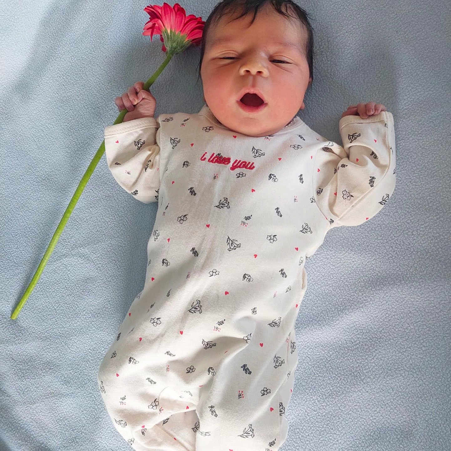 Ayla Boufares participe au concours pour gagner de l'argent avec cette photo : baby, blanket, child, cozy, cute, flower, hand, head, indoor, infant, lying_down, newborn, onesie, patterned_clothing, peaceful, pink_flower, portrait, skin, sleepy, soft